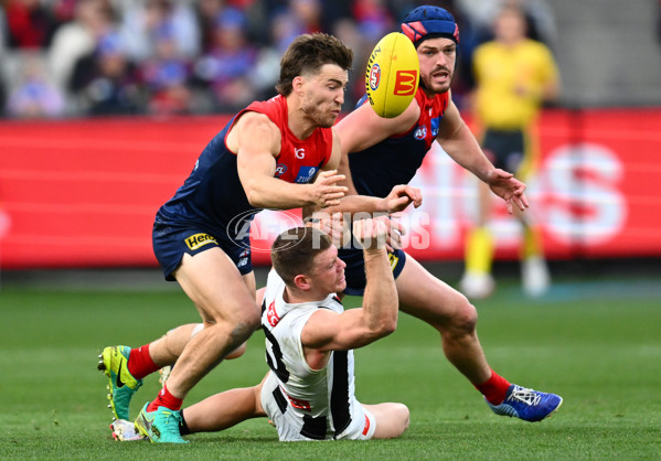 AFL 2023 Round 13 - Melbourne v Collingwood - A-1816507