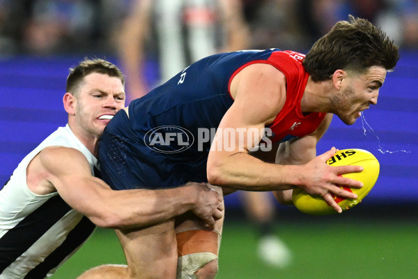 AFL 2023 Round 13 - Melbourne v Collingwood - A-1819728