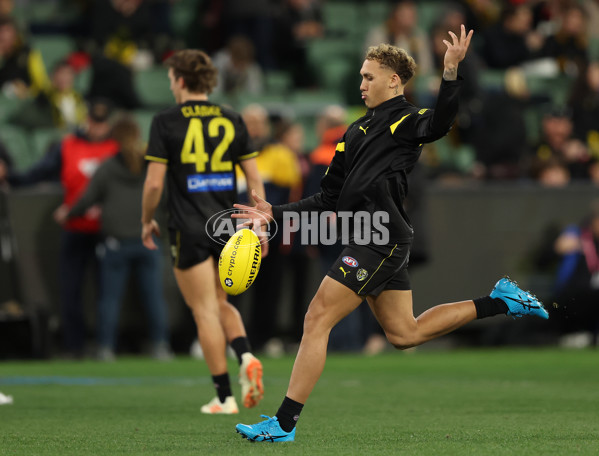 AFL 2023 Round 14 - Richmond v St Kilda - A-1849033