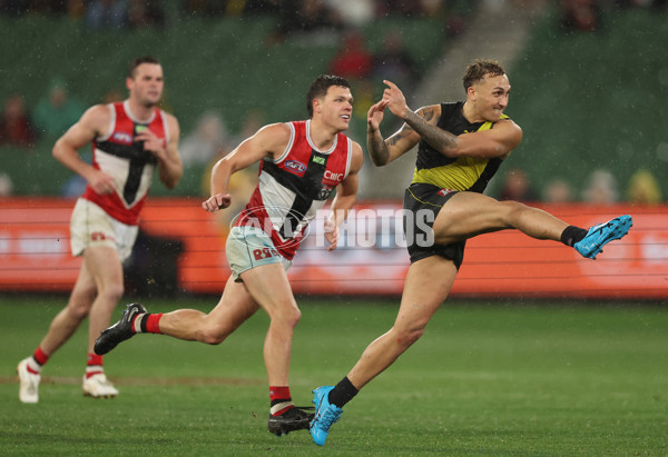 AFL 2023 Round 14 - Richmond v St Kilda - A-1851099