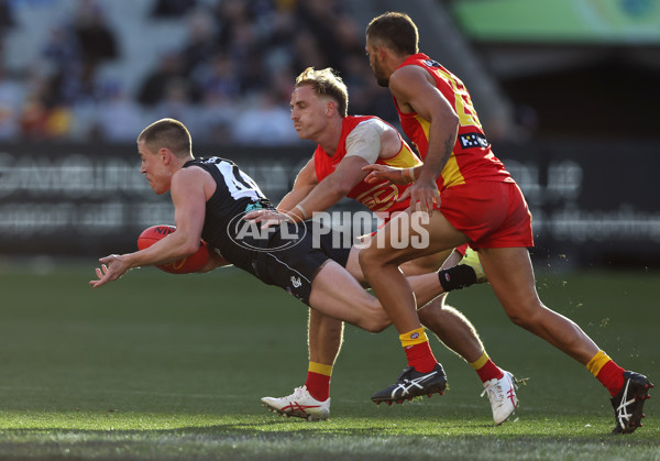 AFL 2023 Round 14 - Carlton v Gold Coast - A-1856166