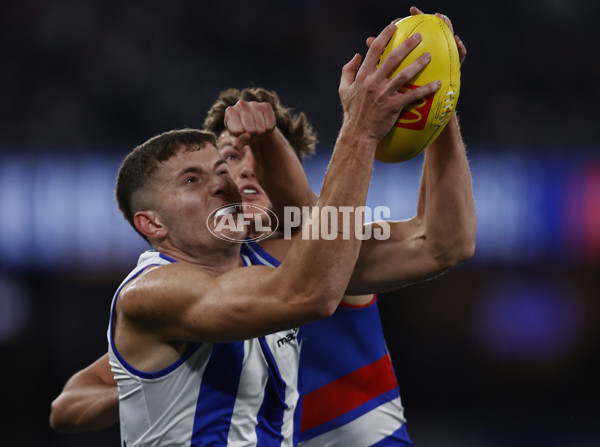 AFL 2023 Round 14 - North Melbourne v Western Bulldogs - A-1860329