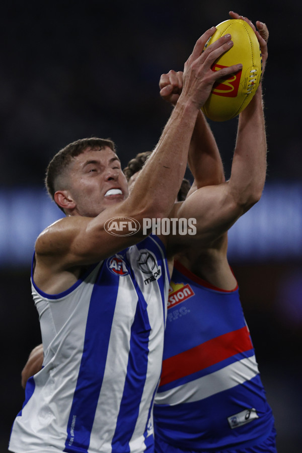 AFL 2023 Round 14 - North Melbourne v Western Bulldogs - A-1860331