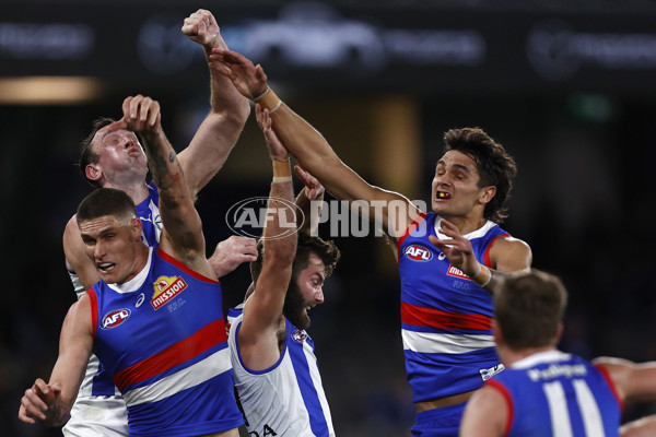 AFL 2023 Round 14 - North Melbourne v Western Bulldogs - A-1860379