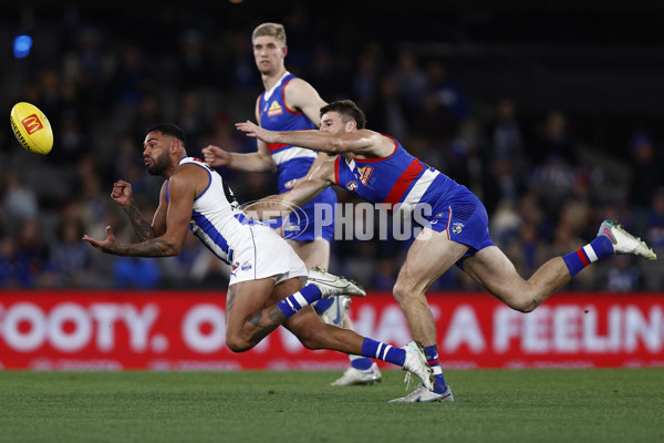 AFL 2023 Round 14 - North Melbourne v Western Bulldogs - A-1860389