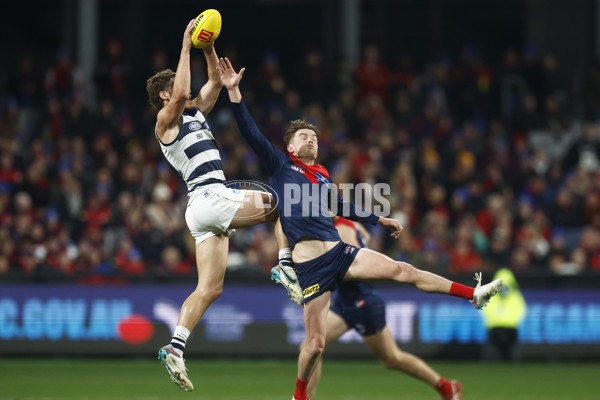 AFL 2023 Round 15 - Geelong v Melbourne - A-1863024