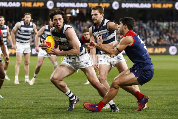 AFL 2023 Round 15 - Geelong v Melbourne - A-1863037