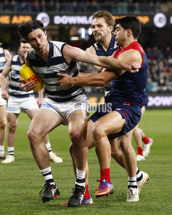 AFL 2023 Round 15 - Geelong v Melbourne - A-1863040