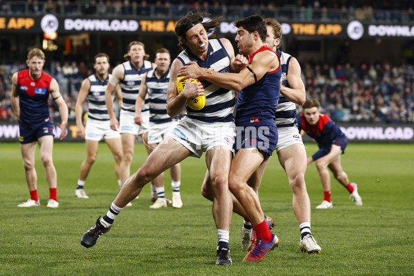 AFL 2023 Round 15 - Geelong v Melbourne - A-1863042