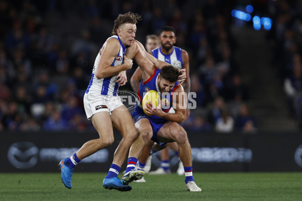 AFL 2023 Round 14 - North Melbourne v Western Bulldogs - A-1863596