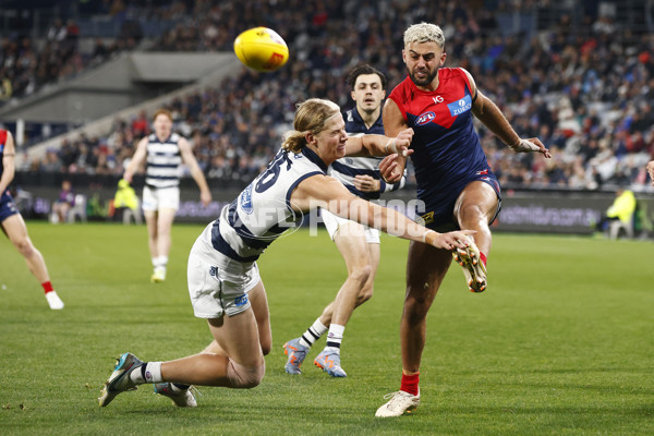 AFL 2023 Round 15 - Geelong v Melbourne - A-1877389