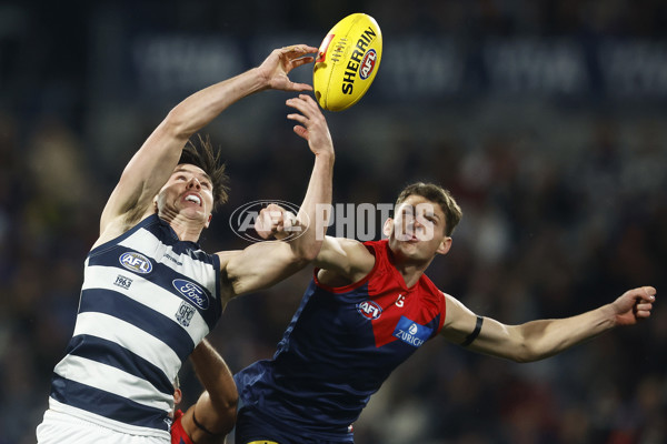 AFL 2023 Round 15 - Geelong v Melbourne - A-1877392