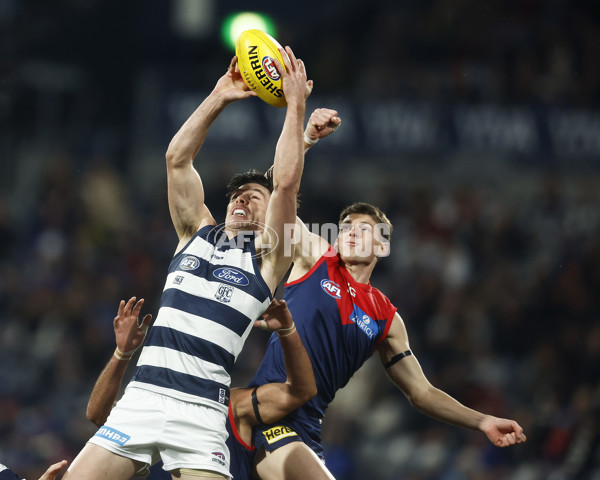 AFL 2023 Round 15 - Geelong v Melbourne - A-1877393