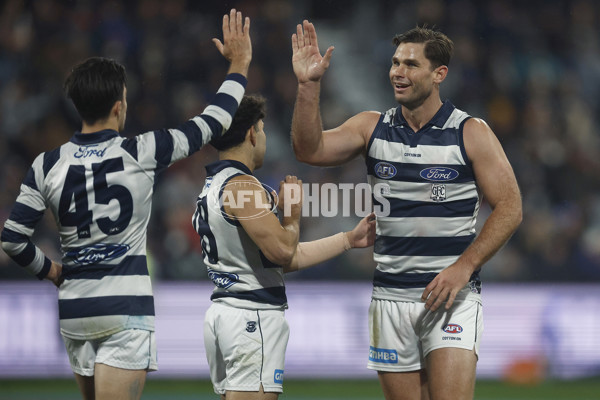 AFL 2023 Round 15 - Geelong v Melbourne - A-1877414