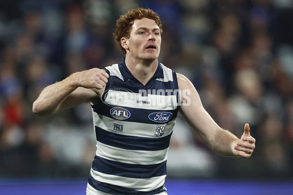 AFL 2023 Round 15 - Geelong v Melbourne - A-1877415