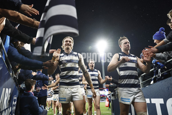 AFL 2023 Round 15 - Geelong v Melbourne - A-1878662