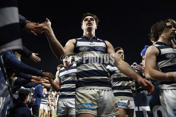 AFL 2023 Round 15 - Geelong v Melbourne - A-1878663