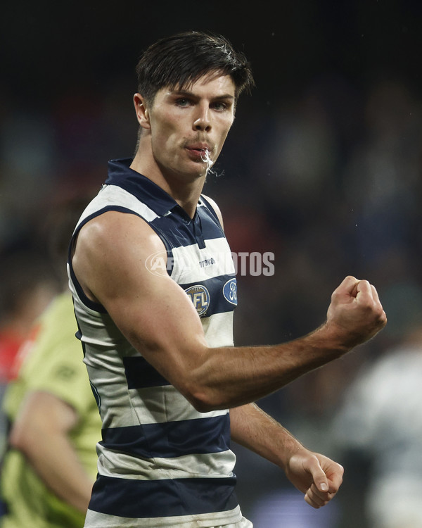 AFL 2023 Round 15 - Geelong v Melbourne - A-1880335