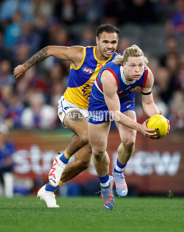 AFL 2023 Round 23 - Western Bulldogs v West Coast TEST - A-1913747