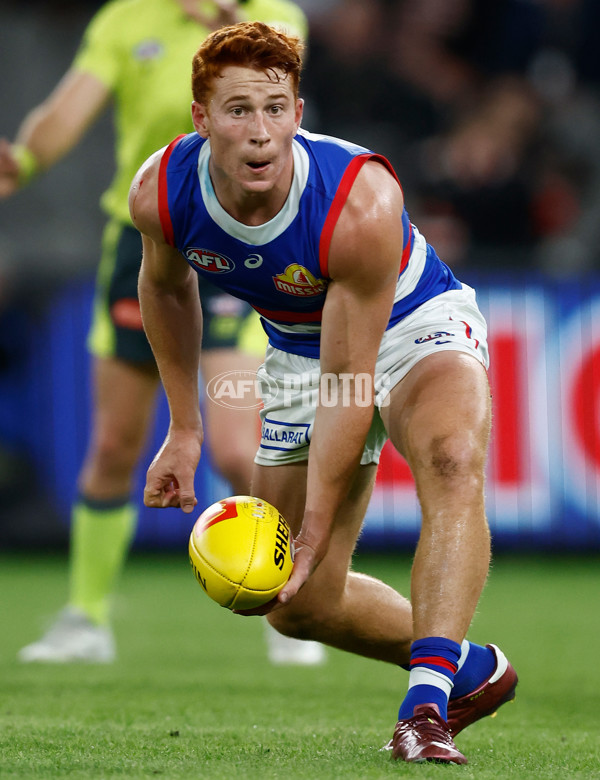 AFL 2024 Round 06 - St Kilda v Western Bulldogs - A-2136293