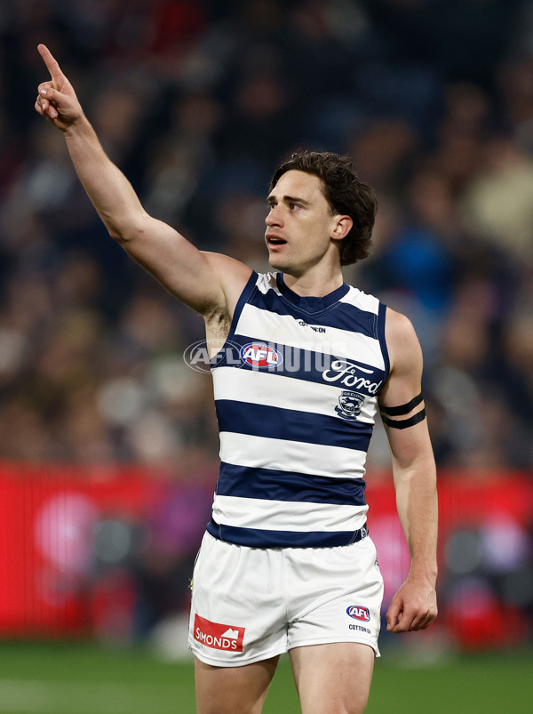 AFL 2024 Round 17 - Geelong v Hawthorn - A-2136346