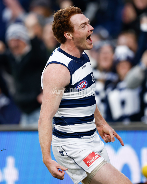 AFL 2024 Round 17 - Geelong v Hawthorn - A-2138346