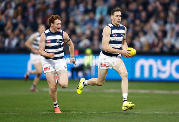 AFL 2024 Round 17 - Geelong v Hawthorn - A-2138348