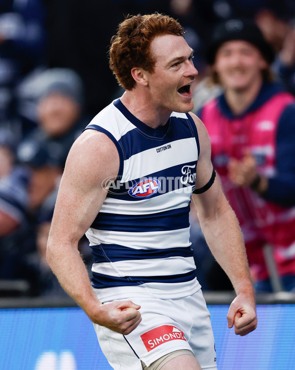 AFL 2024 Round 17 - Geelong v Hawthorn - A-2138352