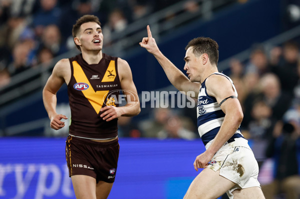 AFL 2024 Round 17 - Geelong v Hawthorn - A-2138365