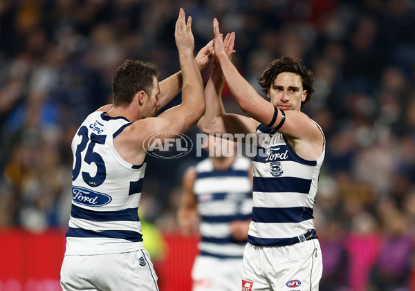 AFL 2024 Round 17 - Geelong v Hawthorn - A-2138369