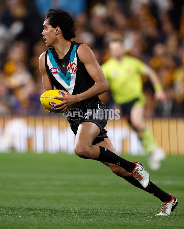 AFL 2024 Second Semi Final - Port Adelaide v Hawthorn - A-2142840