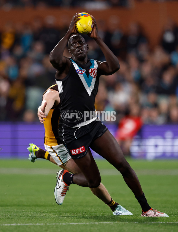 AFL 2024 Second Semi Final - Port Adelaide v Hawthorn - A-2142841