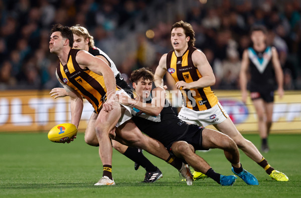 AFL 2024 Second Semi Final - Port Adelaide v Hawthorn - A-2142845