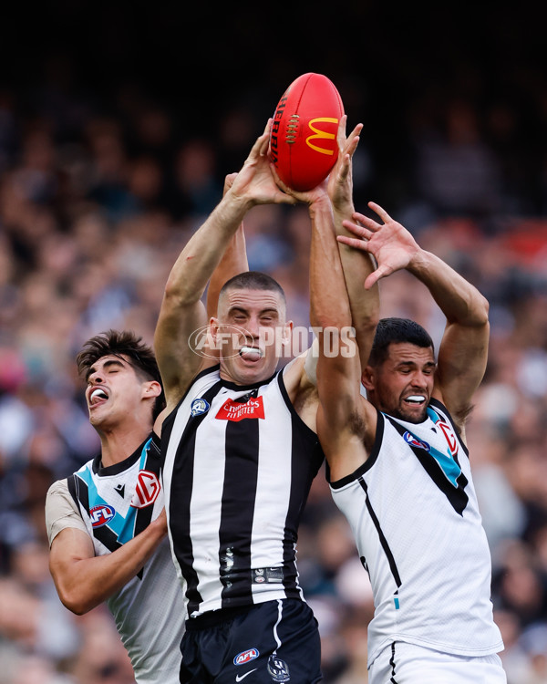 AFL 2024 Round 06 - Collingwood v Port Adelaide - A-2142877