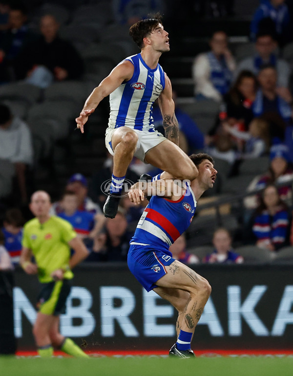 AFL 2024 Round 23 - Western Bulldogs v North Melbourne Test - A-2142912