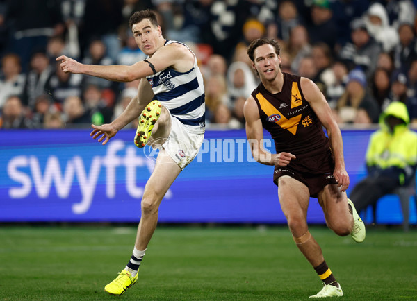 AFL 2024 Round 17 - Geelong v Hawthorn - A-2143120