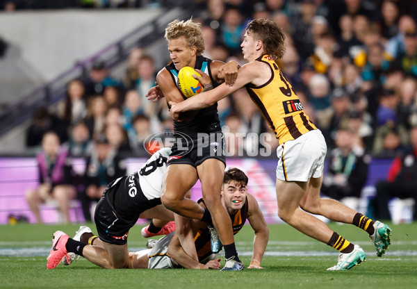 AFL 2024 Second Semi Final - Port Adelaide v Hawthorn - A-2143133