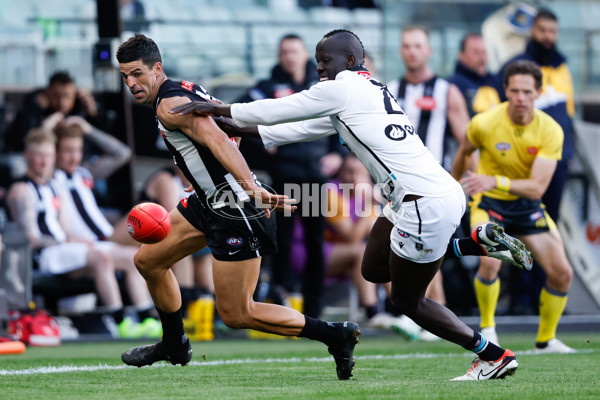 AFL 2024 Round 06 - Collingwood v Port Adelaide - A-2143175