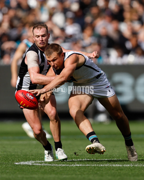 AFL 2024 Round 06 - Collingwood v Port Adelaide - A-2143176