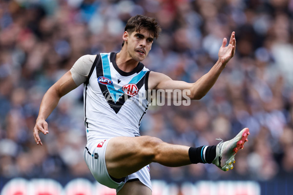 AFL 2024 Round 06 - Collingwood v Port Adelaide - A-2143178