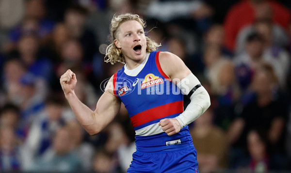 AFL 2024 Round 23 - Western Bulldogs v North Melbourne Test - A-2143196