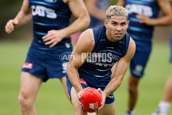 AFL 2024 Training - Geelong 061224 - A-2150426