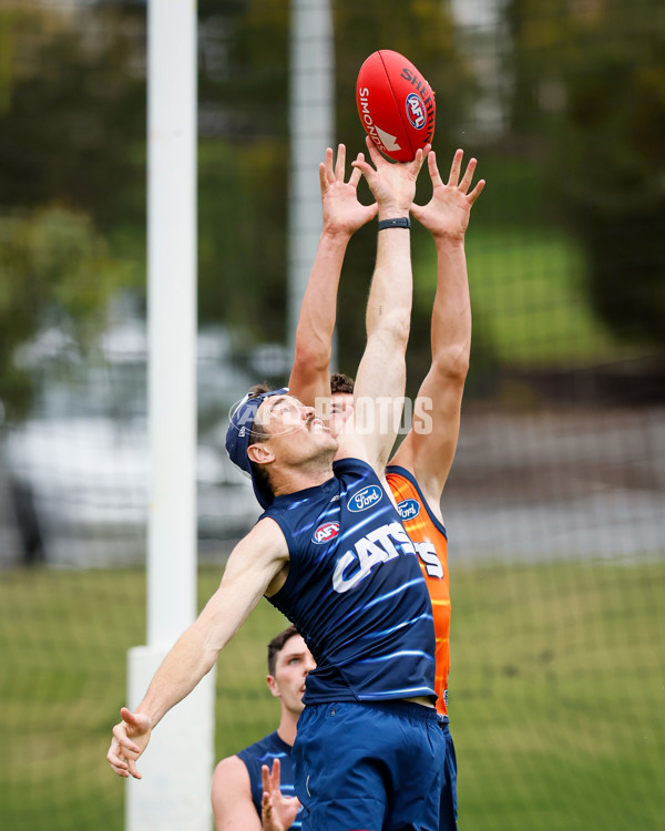 AFL 2024 Training - Geelong 061224 - A-2150427