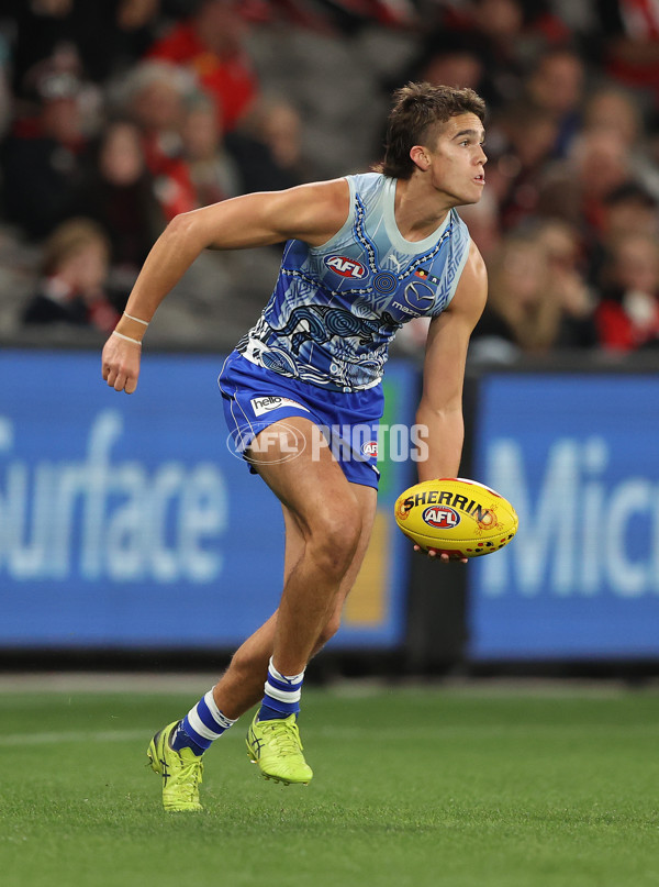 AFL Rd 11 - St Kilda v North Melbourne - A-311288