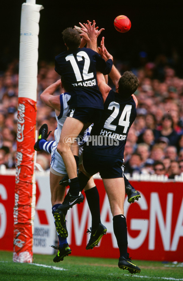 AFL 1999 Grand Final - Carlton v Kangaroos - 28185