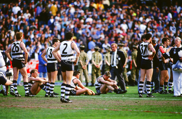 1992 AFL Grand Final - West Coast v Geelong - 20729