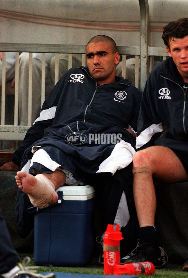 AFL 1999 Grand Final - Kangaroos v Carlton - 137308