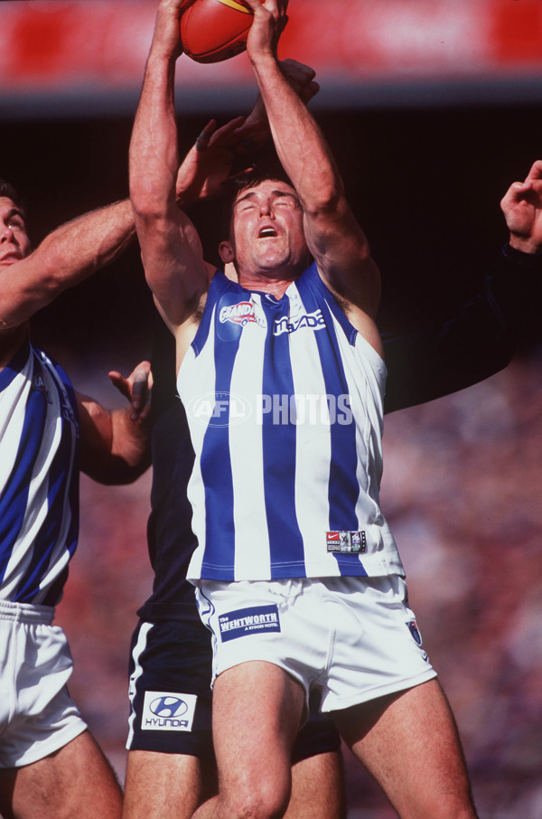 AFL 1999 Grand Final - Kangaroos v Carlton - 137615