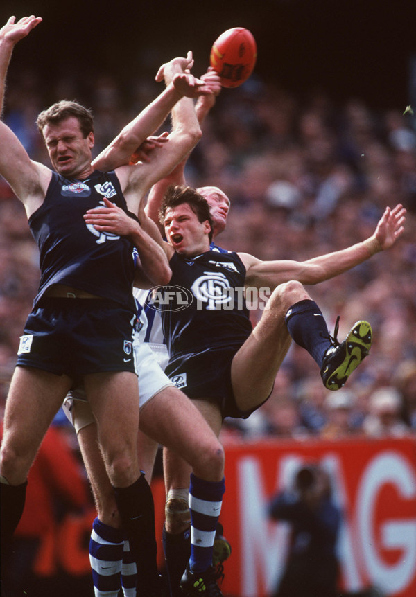 AFL 1999 Grand Final - Kangaroos v Carlton - 137613