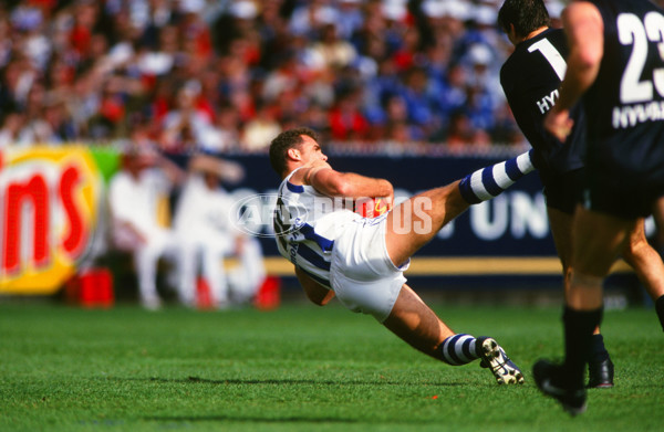 AFL 1999 Grand Final - Carlton v Kangaroos - 28039